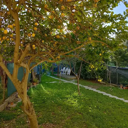 Lo Spicchio B&B Vicino Ospedale